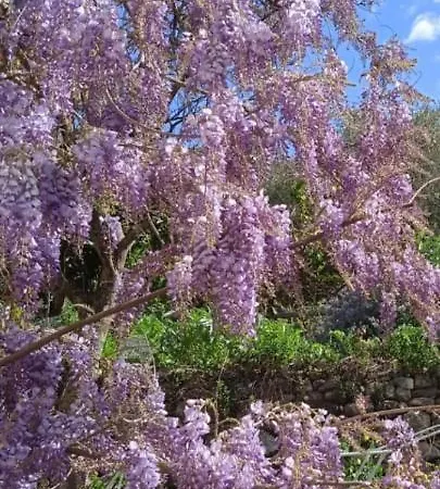 Villa Imperia Lägenhet *