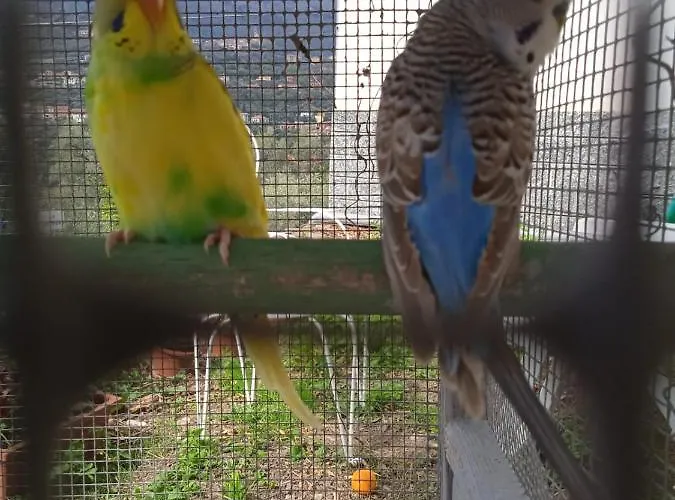 Villa Imperia Lejlighed Imperia