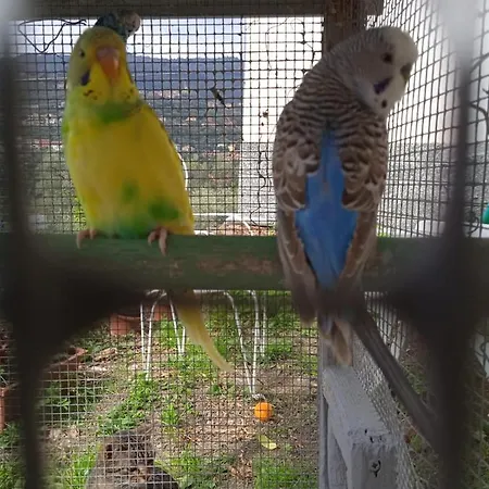 Villa Imperia Appartement Imperia